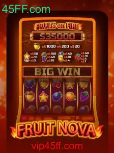 Descubra o Fascinante Universo de FruitNova: Um Mergulho nas Regras e Estratégias do Jogo